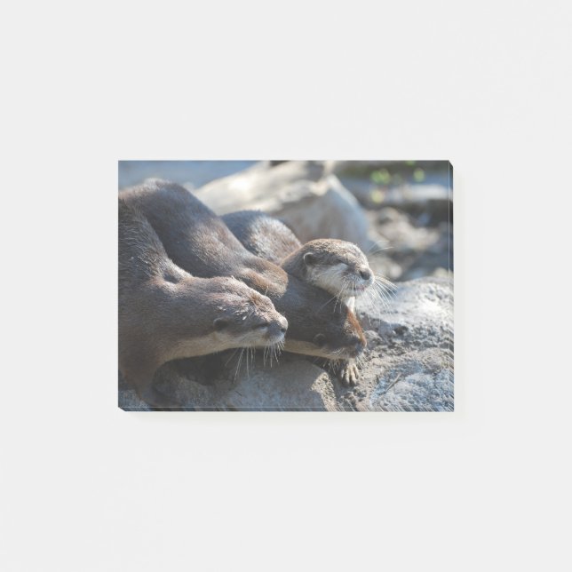 Keluttrar Post-it Block (Framsida)