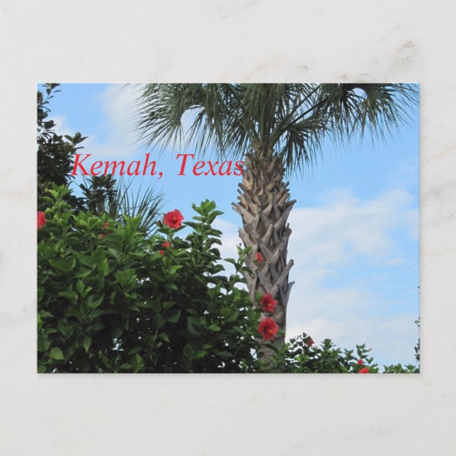 Kemah, Texas-Tropical Handflatan vykort (Framsida)