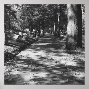 Kemeteriscenen Poster