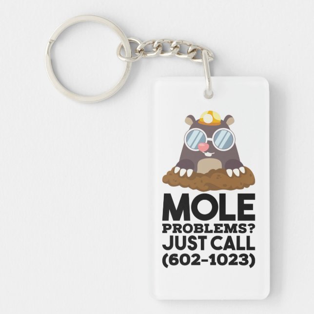 Kemi - Mole Problems (Framsidan)