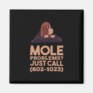 Kemi - Mole Problems Magnet