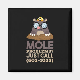 Kemi - Mole Problems Magnet