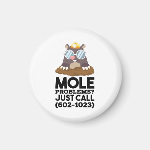Kemi - Mole Problems Magnet