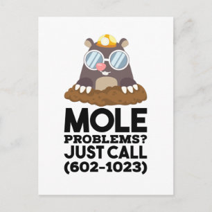 Kemi - Mole Problems Vykort