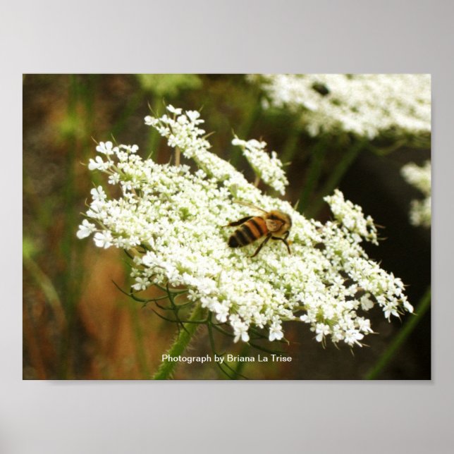 Kemi Poster (Framsidan)