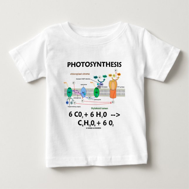 Kemisk) formel för Photosynthesis ( Tee Shirt (Framsida)