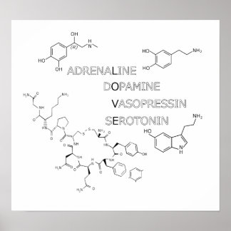 Kemisk struktur Kärlek Geek Poster