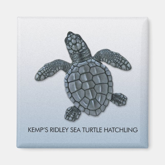 Kemp's Ridley Sea Turtle Hatchling Magnet (Framsidan)