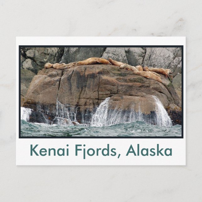 Kenai 10, Kenai Fjords, Alaska Vykort (Framsida)
