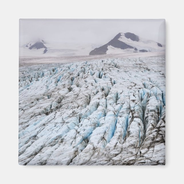 Kenai Fjords nationalpark Magnet (Framsidan)