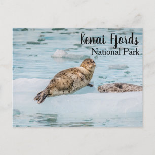 Kenai Fjords nationalpark Vykort