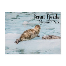 Kenai Fjords nationalpark