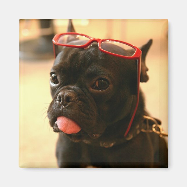 Kenken Magnets A Magnet (Framsidan)