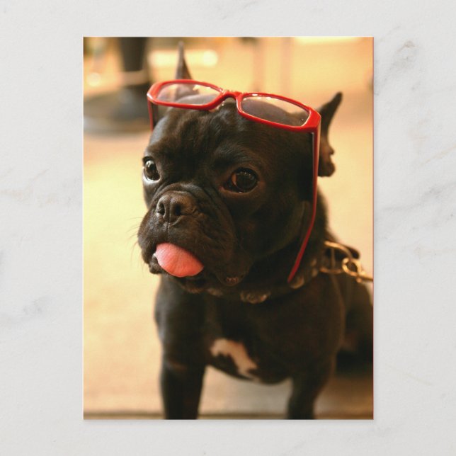 Kenken Postcards A Vykort (Framsida)