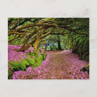Kenmare Fairy Road Vykort
