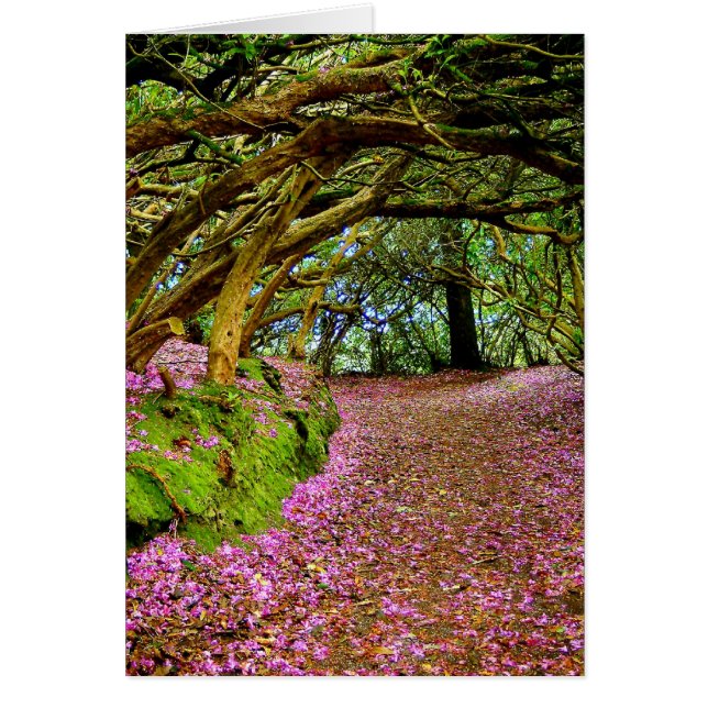 Kenmare Ireland Hälsningskort (Framsidan)