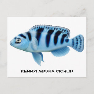 Kennyi African Cichlid-vykort Vykort