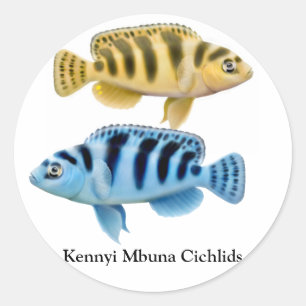 Kennyi afrikansk klyfta klistermärke för Cichlid