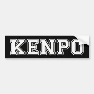 Kenpo Bildekal