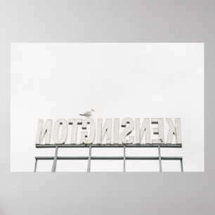 KENSINGTON MARKNADSFÖR UNDERTECKNAR, TORONTO, POSTER