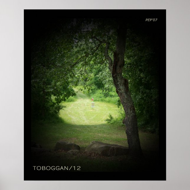 Kensington Toboggan #12 Poster (Framsidan)