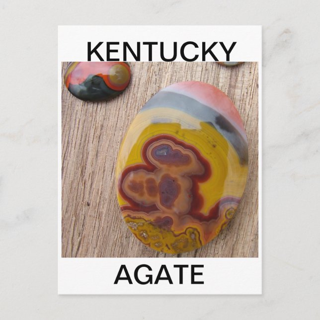 Kentucky Agate för rockhound Vykort (Framsida)