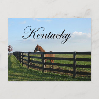 Kentucky Bluegräs Land Vykort