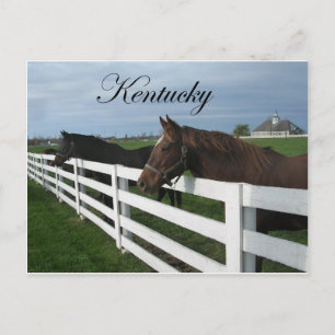 Kentucky Bluegräs Land Vykort