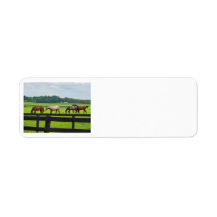 Kentucky Bluegrass adressetiketters Returadress Etikett