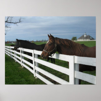 Kentucky Bluegrass Land Poster