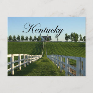 Kentucky Bluegrass Land Vykort