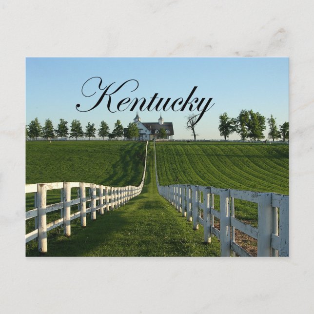 Kentucky Bluegrass Land Vykort (Framsida)
