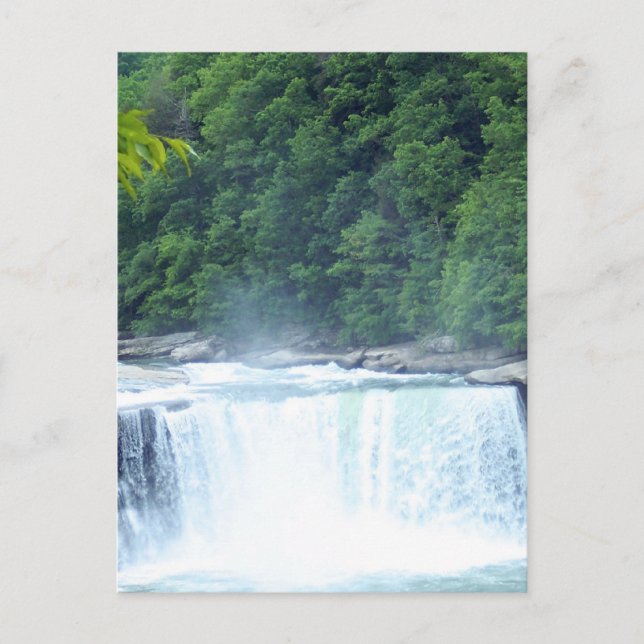 Kentucky-dammen Vykort (Framsida)