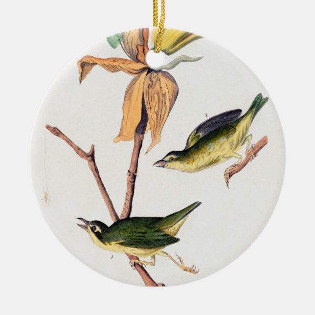 Kentucky Fly Catching Warbler Birds Illustration Julgransprydnad Keramik (Framsidan)