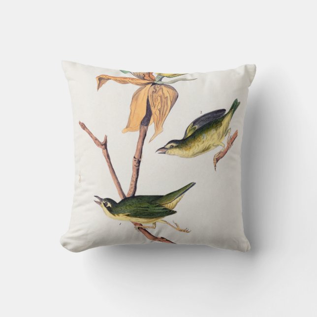 Kentucky Fly Catching Warbler Birds Illustration Kudde (Framsida)