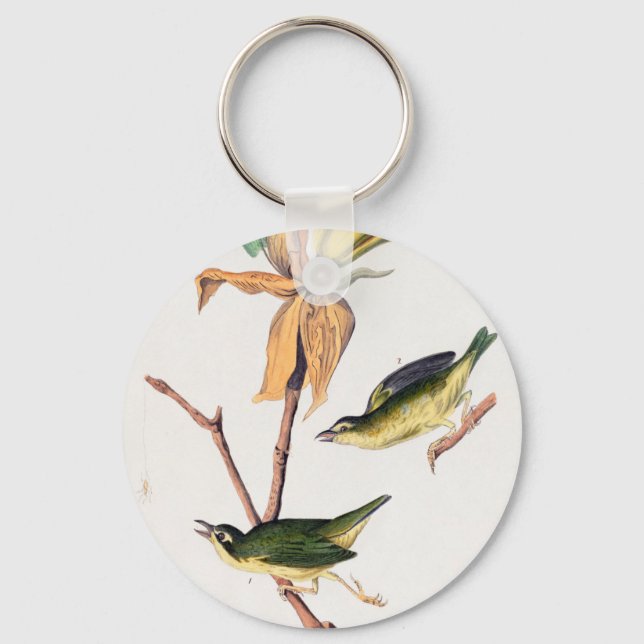Kentucky Fly Catching Warbler Birds Illustration Nyckelring (Framsida)