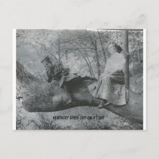 Kentucky Girls på en limb Vykort