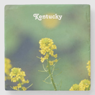 Kentucky Goldenrod Stenunderlägg