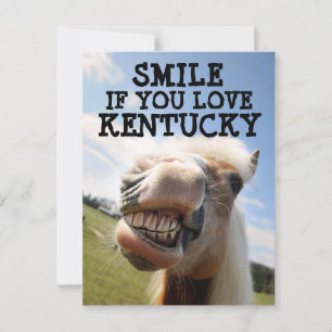 KENTUCKY HÄST Postkort Vykort