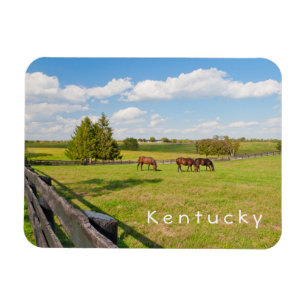Kentucky, hästar på hästgården Photo Magnet