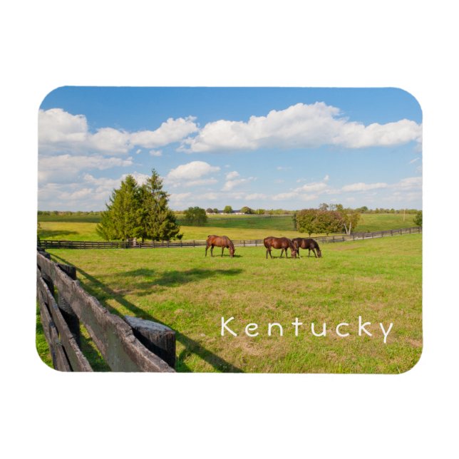 Kentucky, hästar på hästgården Photo Magnet (Horisontell)