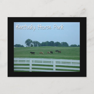 Kentucky Horse Park Vykort