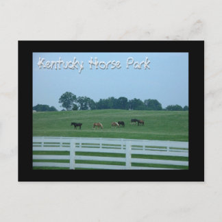 Kentucky Horse Park Vykort