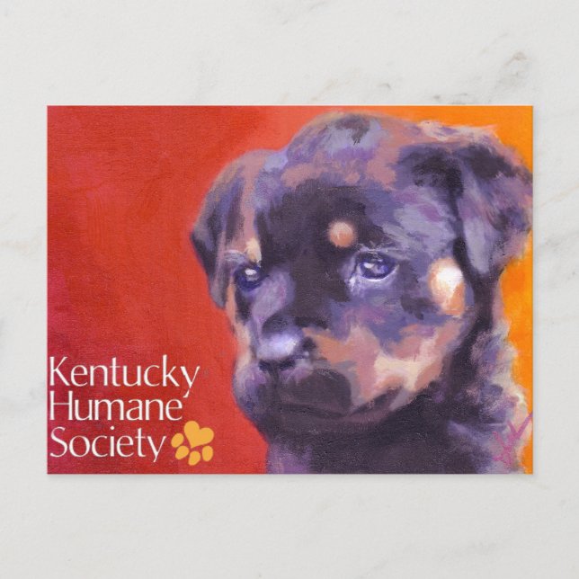 Kentucky Humane Society Vykort (Framsida)
