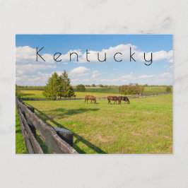 Kentucky Postcard, hästar på hästgården Vykort