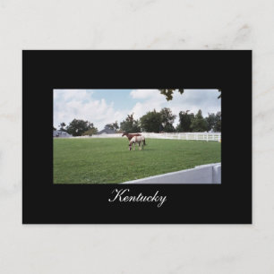 Kentucky Postcard Vykort
