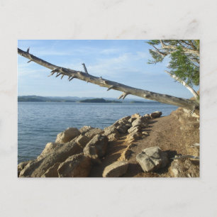 Kentucky Sjö Shoreline-vykort Vykort