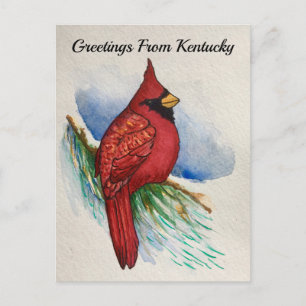 Kentucky State Bird Cardinal Vatten-färg Vykort