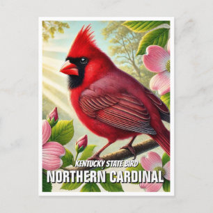 Kentucky State Bird Northern Kardinal Vykort