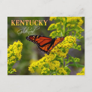 Kentucky State Flower: Goldenrod Vykort